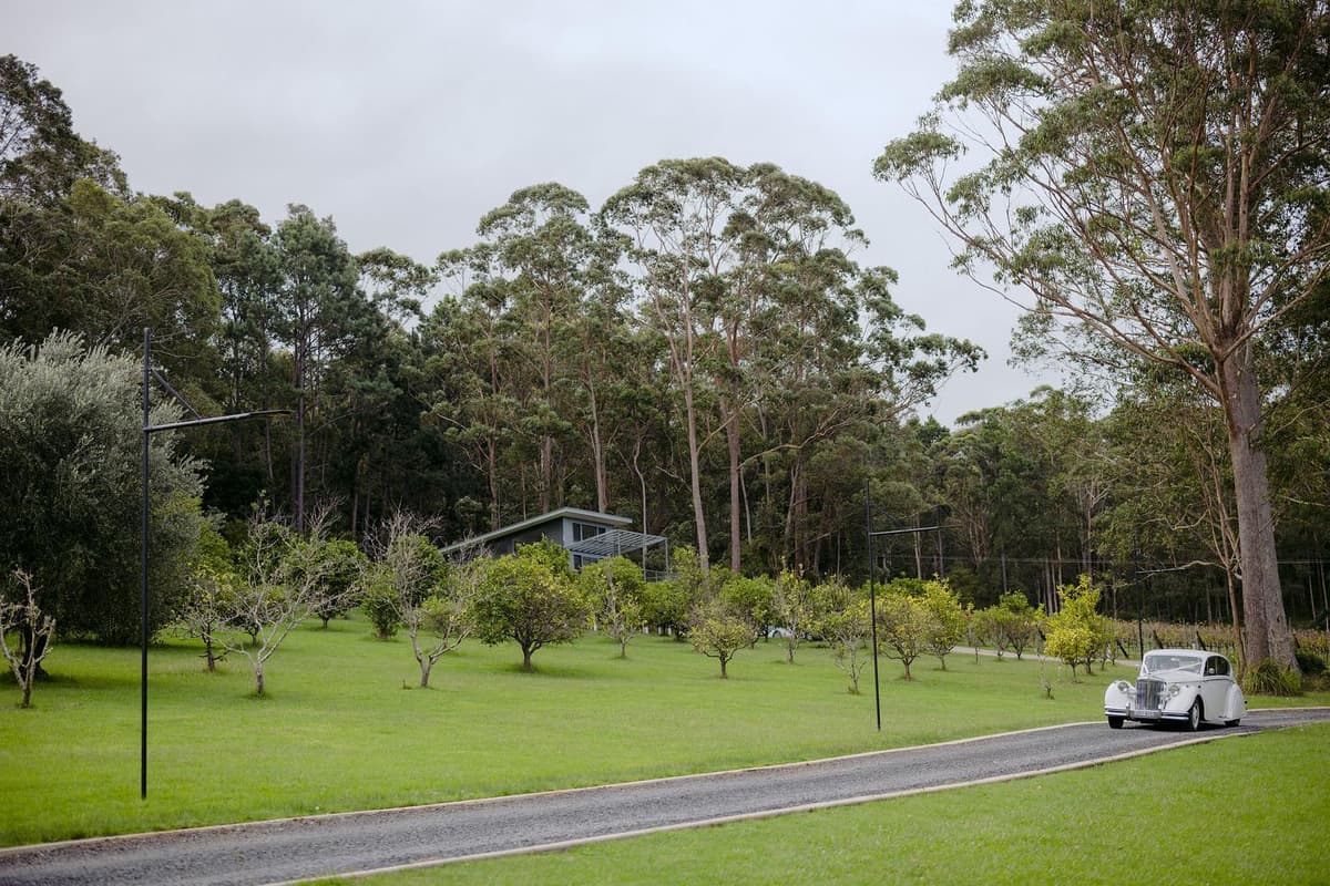 The orchard and driveway leading to the on-site accommodation